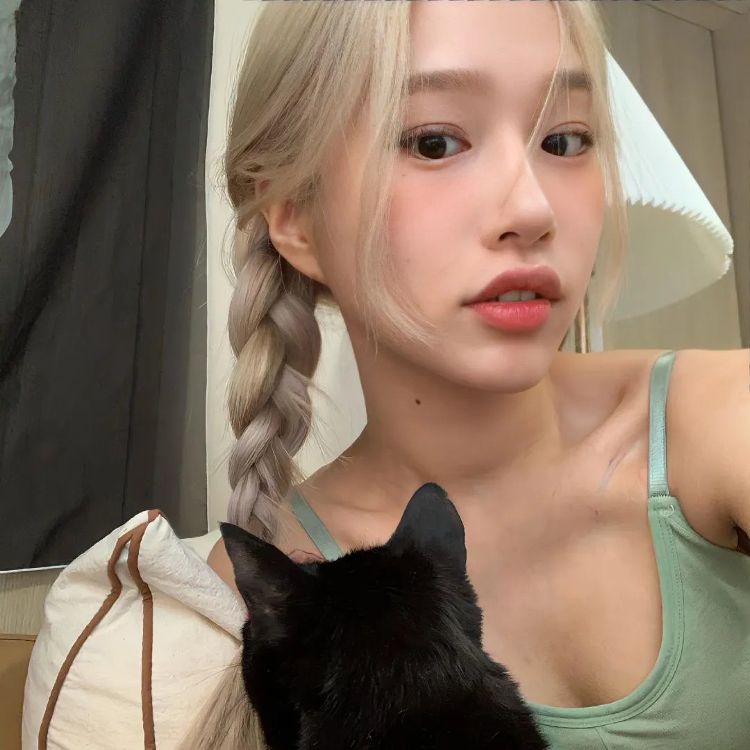 母猫