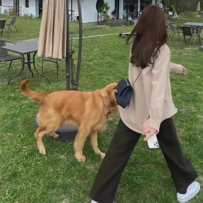 我的父亲我的兵